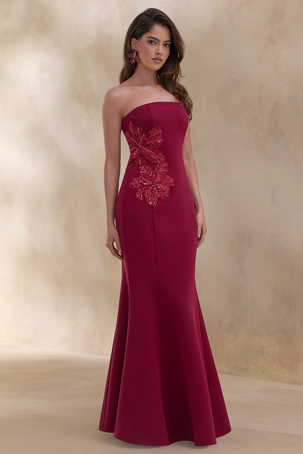 ECM_HR_CL136992069 Aylana _ Burgundy Bandeau Maxi Dress With Embellished Detail 1.jpg