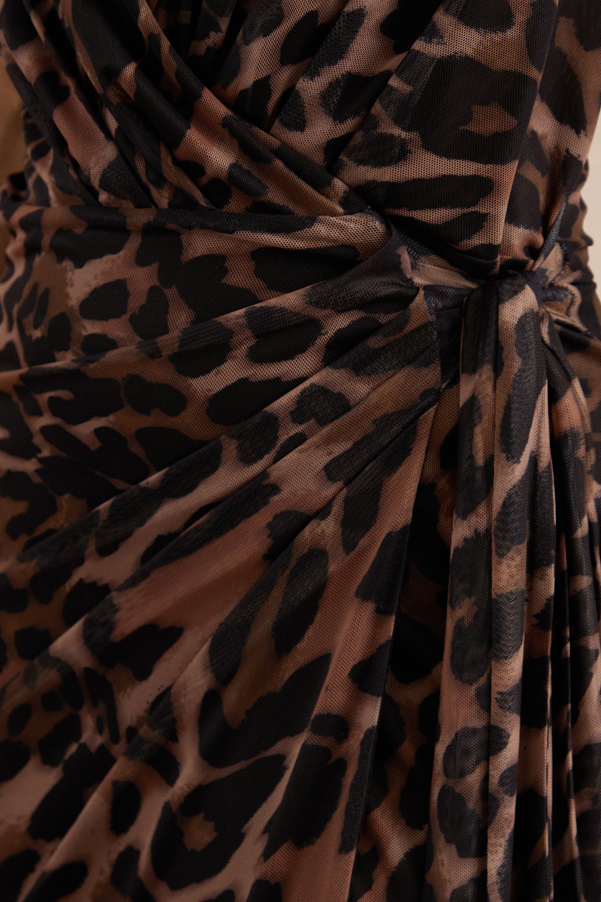 ECM_HR_CL138223021 - Anwen | Leopard Print Mesh V-Neck Maxi Dress With Front High Split 4.jpg
