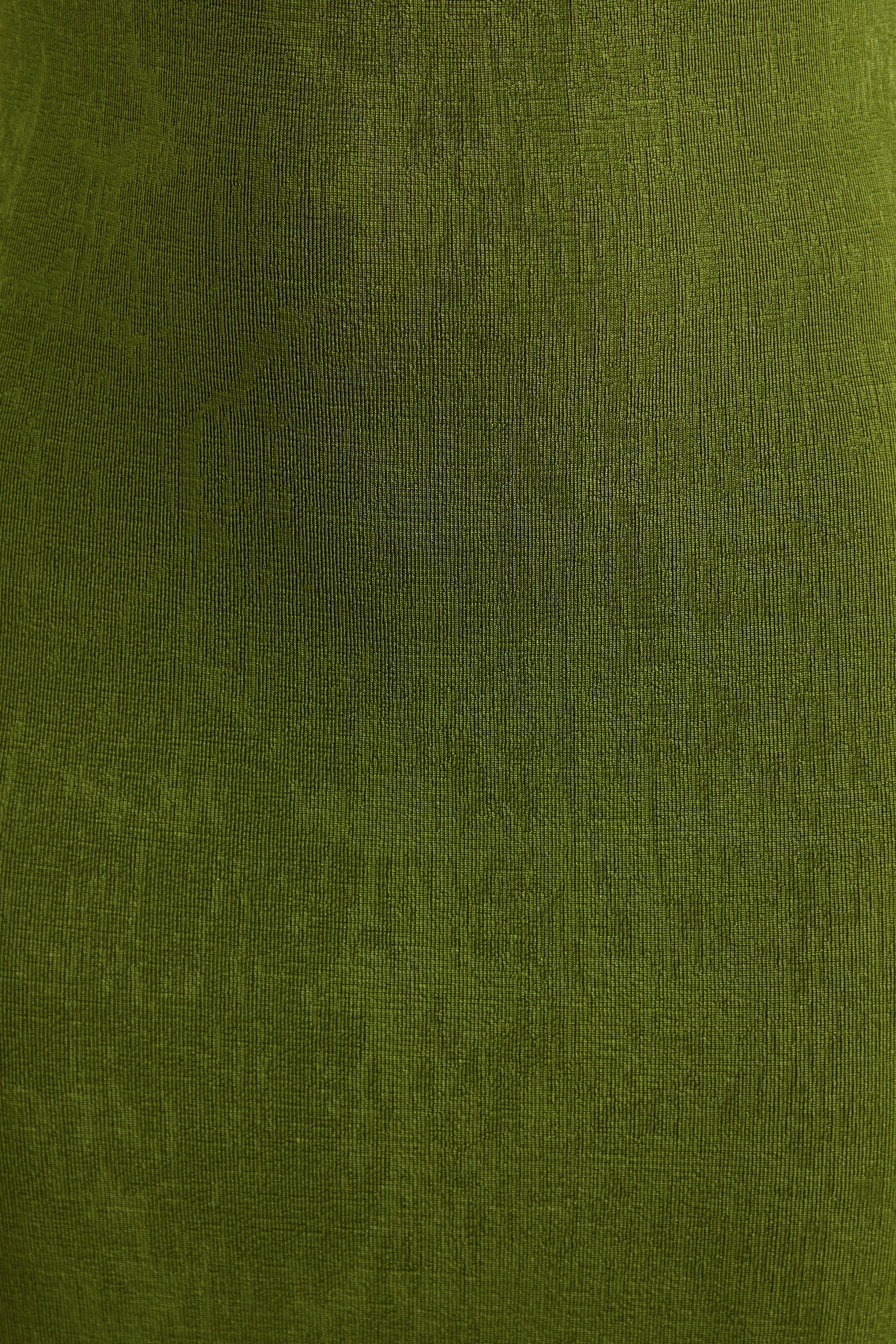 ECM_HR_CL138224034 - Ariosa | Lime High-Neck Maxi Dress With Open Back 5.jpg